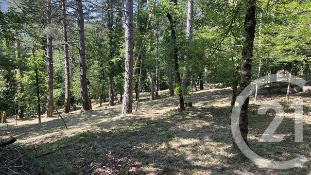 terrain à vendre - 1946.0 m2 - LA CANOURGUE - 48 - LANGUEDOC-ROUSSILLON - Century 21 Gévaudan