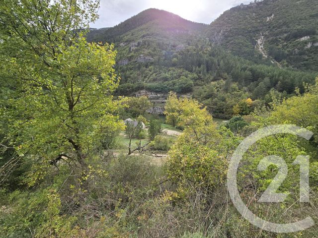 terrain à vendre - 1020.0 m2 - GORGES DU TARN CAUSSES - 48 - LANGUEDOC-ROUSSILLON - Century 21 Gévaudan