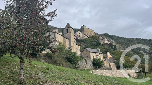terrain à vendre - 1020.0 m2 - GORGES DU TARN CAUSSES - 48 - LANGUEDOC-ROUSSILLON - Century 21 Gévaudan